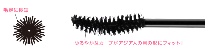 ゆるやかなカーブがアジア人の目の形にフィット！