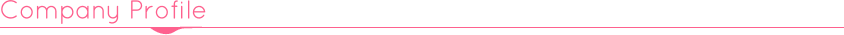 company profile